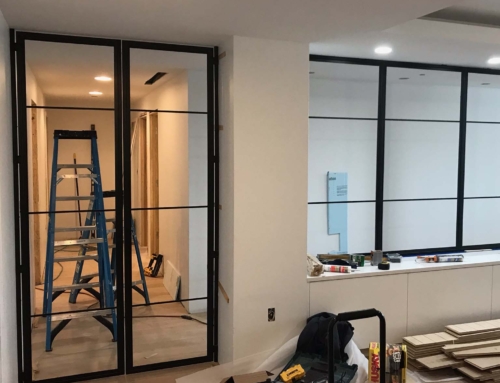 Custom Black Steel and Glass Doors and Panels
